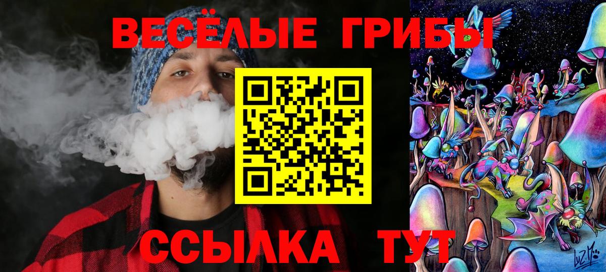 Псилоцибиновые грибы Psilocybe Фурманов