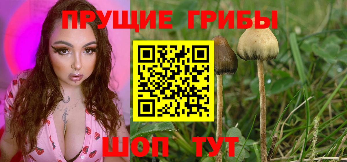 купить  цена  Галлюциногенные грибы Magic Shrooms  Псилоцибиновые грибы ЛСД  Вход с VPN  Фурманов 